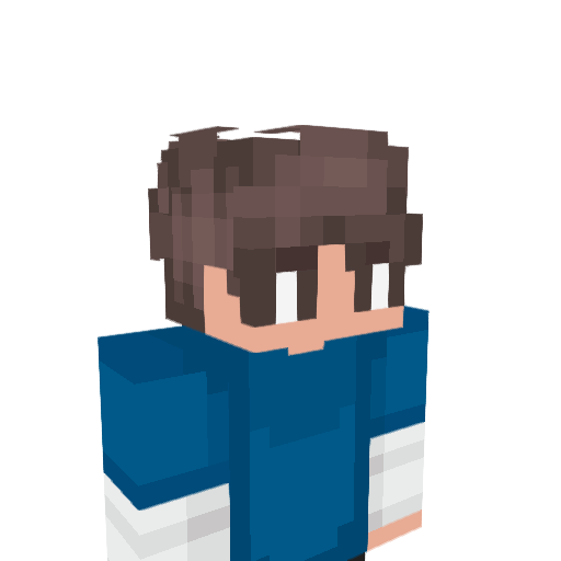 Minecraft postava hisina